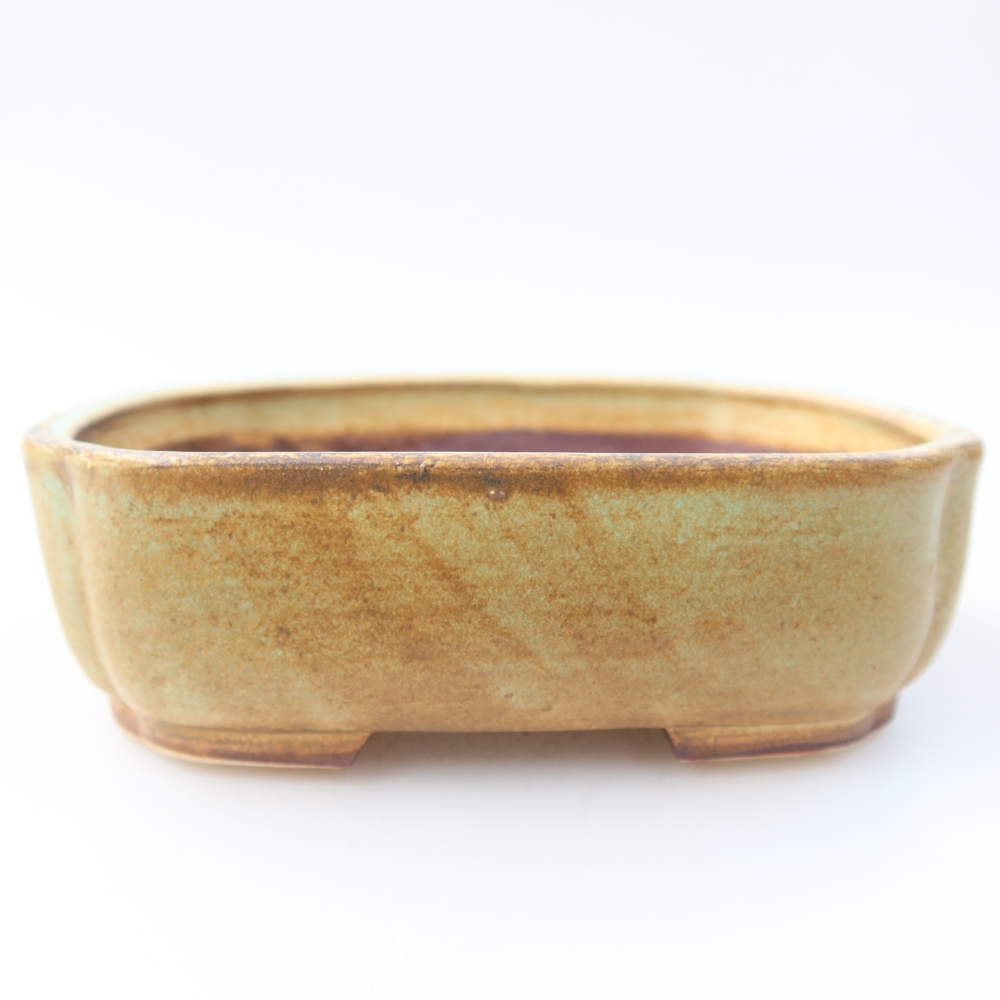 Vaso da bonsai in ceramica 13,5 x 12 x 4 cm, colore verde