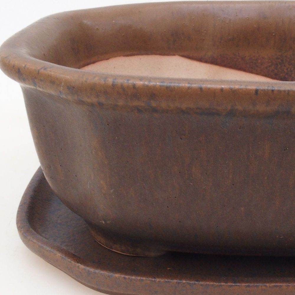 Ciotola bonsai + piattino H31 - marrone