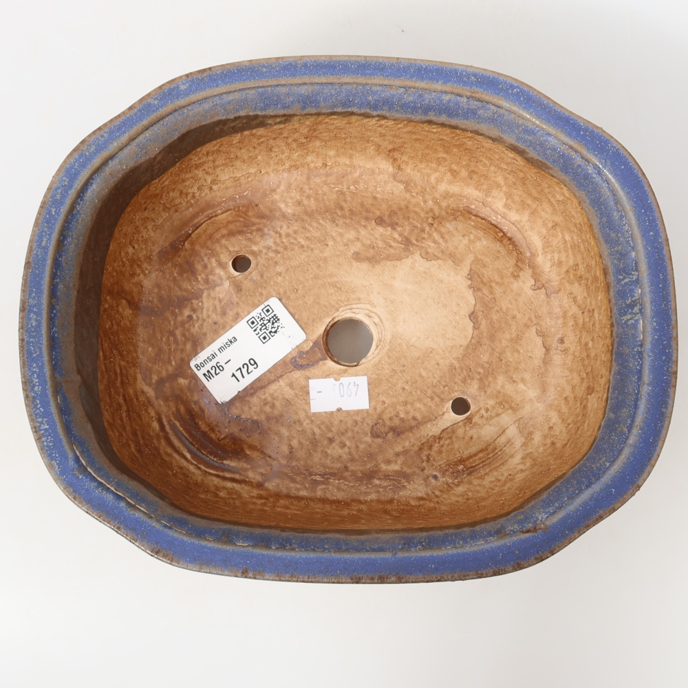Vaso da bonsai in ceramica 20,5 x 16,5 x 7 cm, colore blu