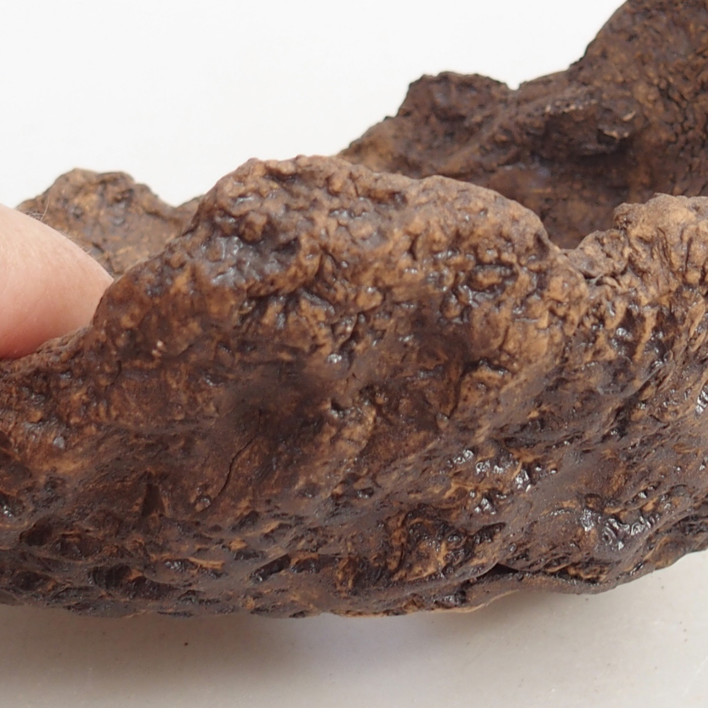 Guscio in ceramica 14,5 x 13 x 13 cm , colore marrone