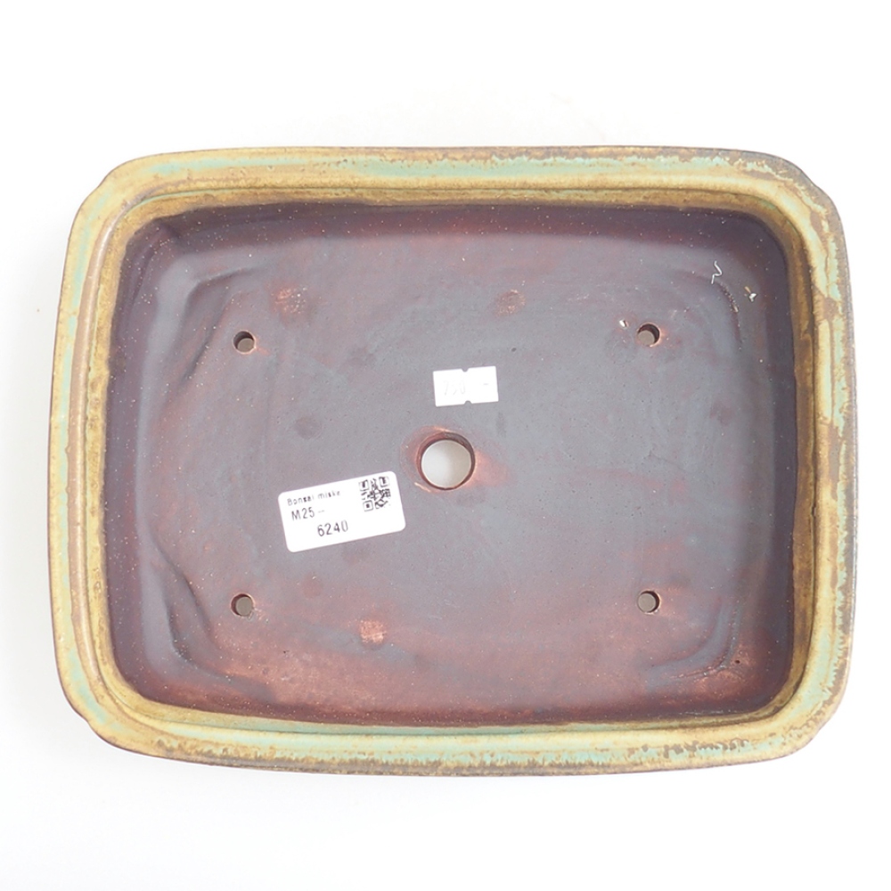 Ciotola per bonsai in ceramica 24,5 x 19 x 7 cm, verde