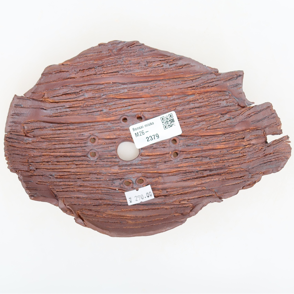 Conchiglia in ceramica  21 x 15 x 5,5 cm, colore marrone