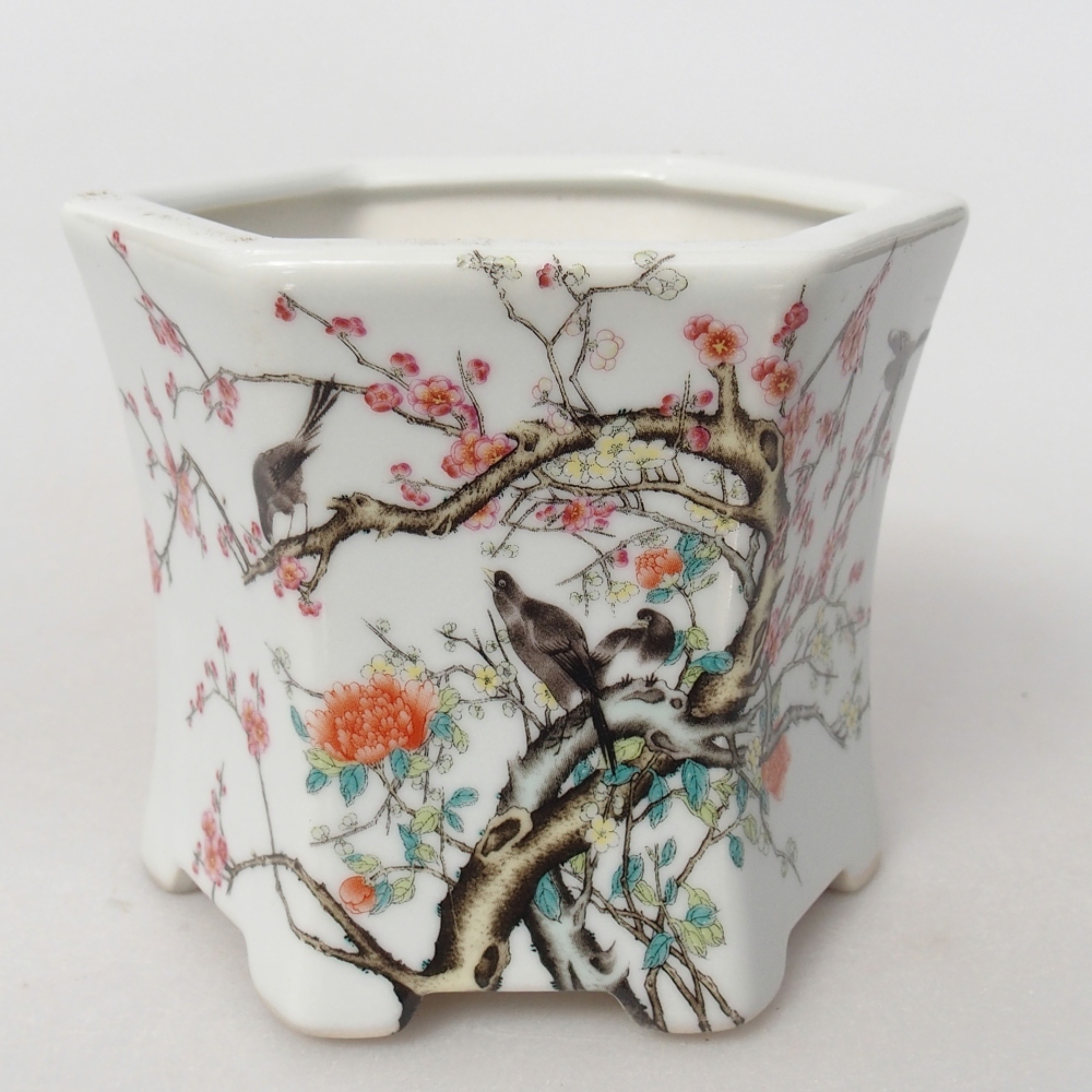 Ciotola per bonsai in ceramica 10,5 x 9,5 x 9 cm, colore bianco