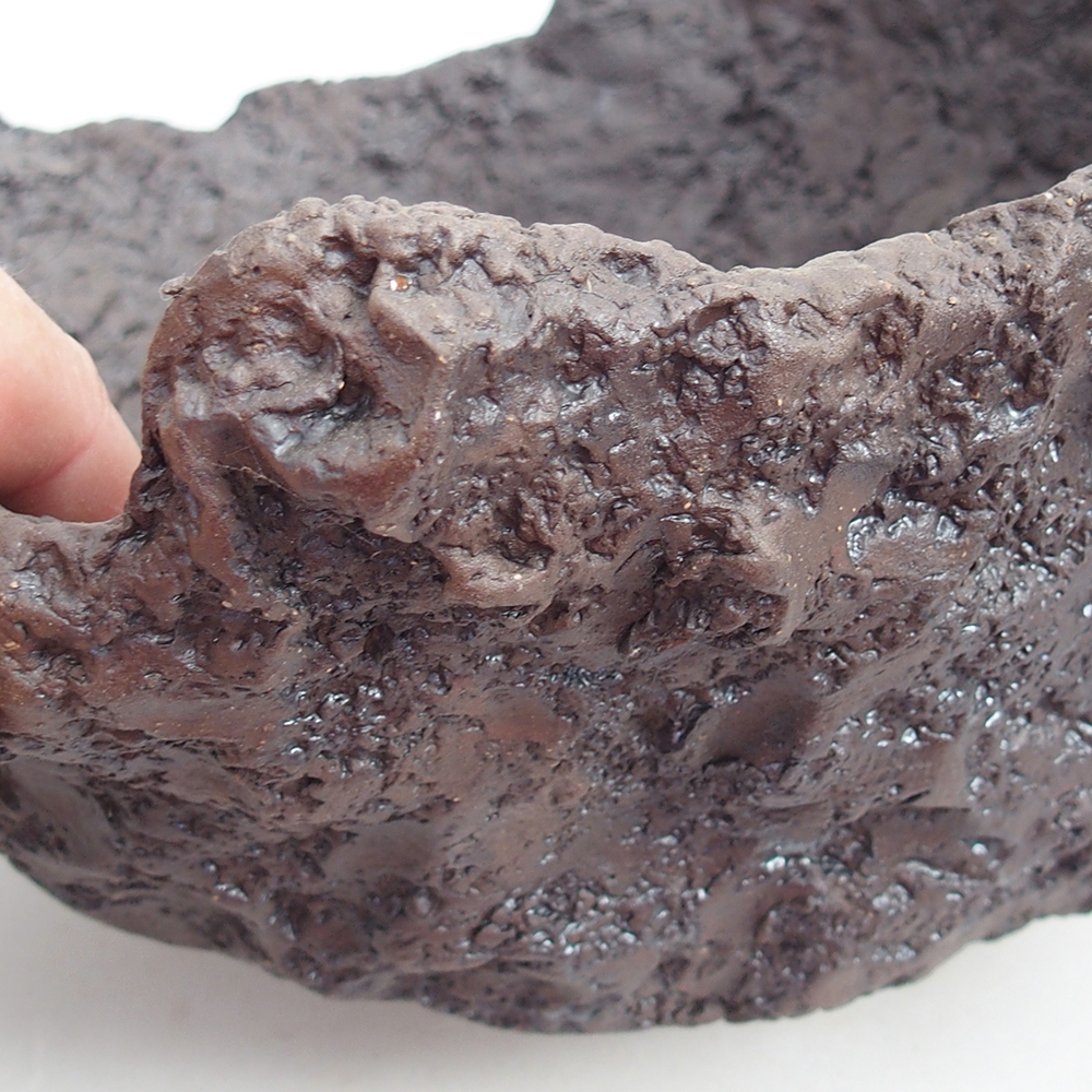 Conchiglia in ceramica 24 x 21 x 20 cm , colore marrone