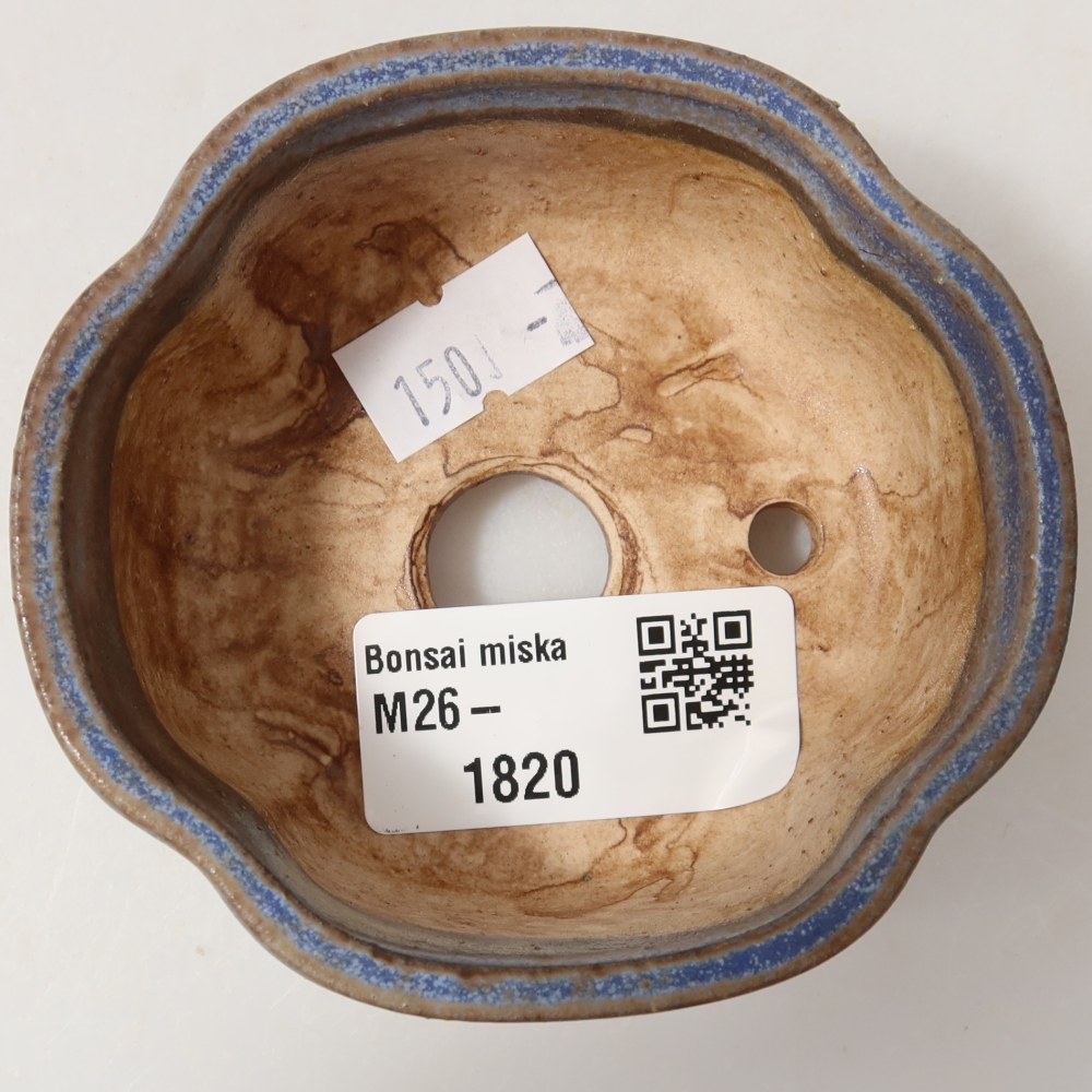 Vaso in ceramica per bonsai 8 x 7,5 x 3,5 cm, colore blu