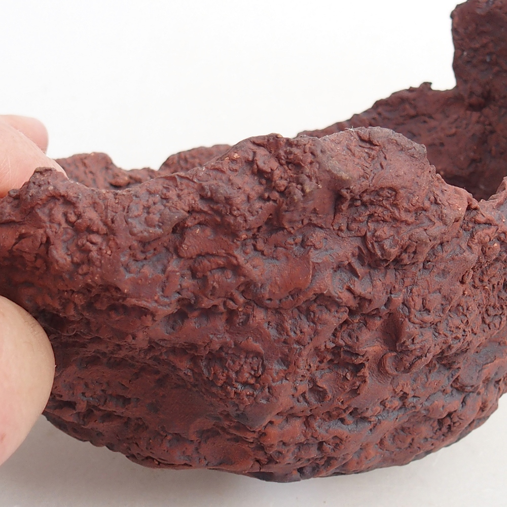 Conchiglia in ceramica 13 x 11,5 x 10,5 cm , colore marrone