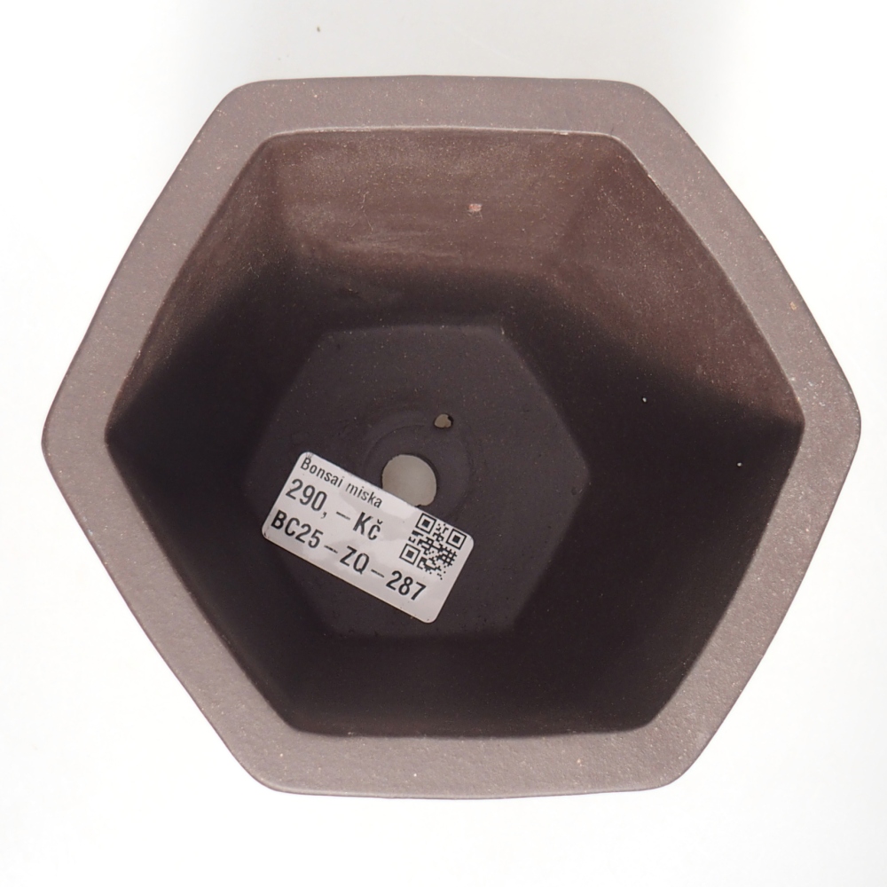 Ciotola 12 x 11 x 11,5 cm marrone