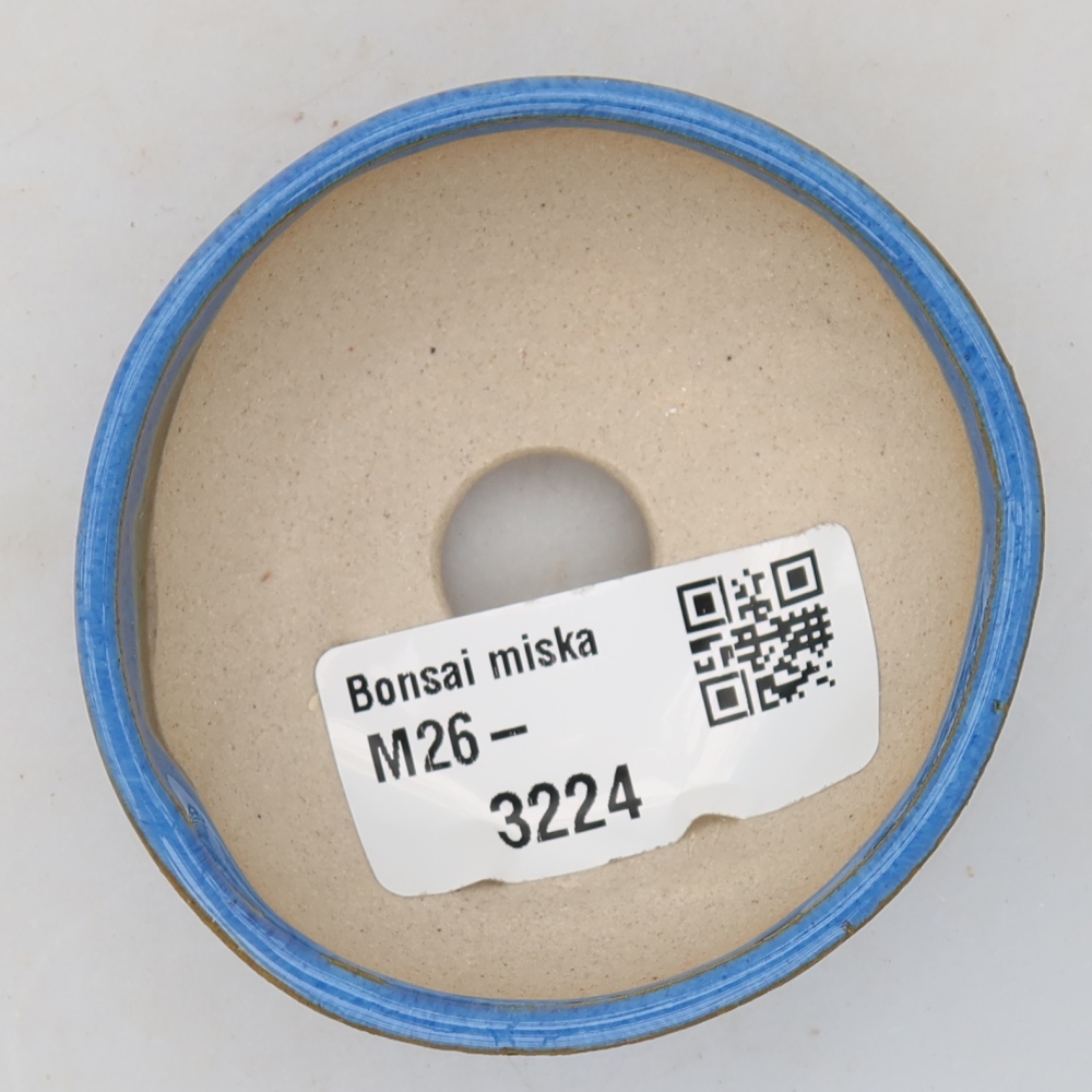 Vaso da bonsai in ceramica 6 x 6 x 3 cm, colore blu