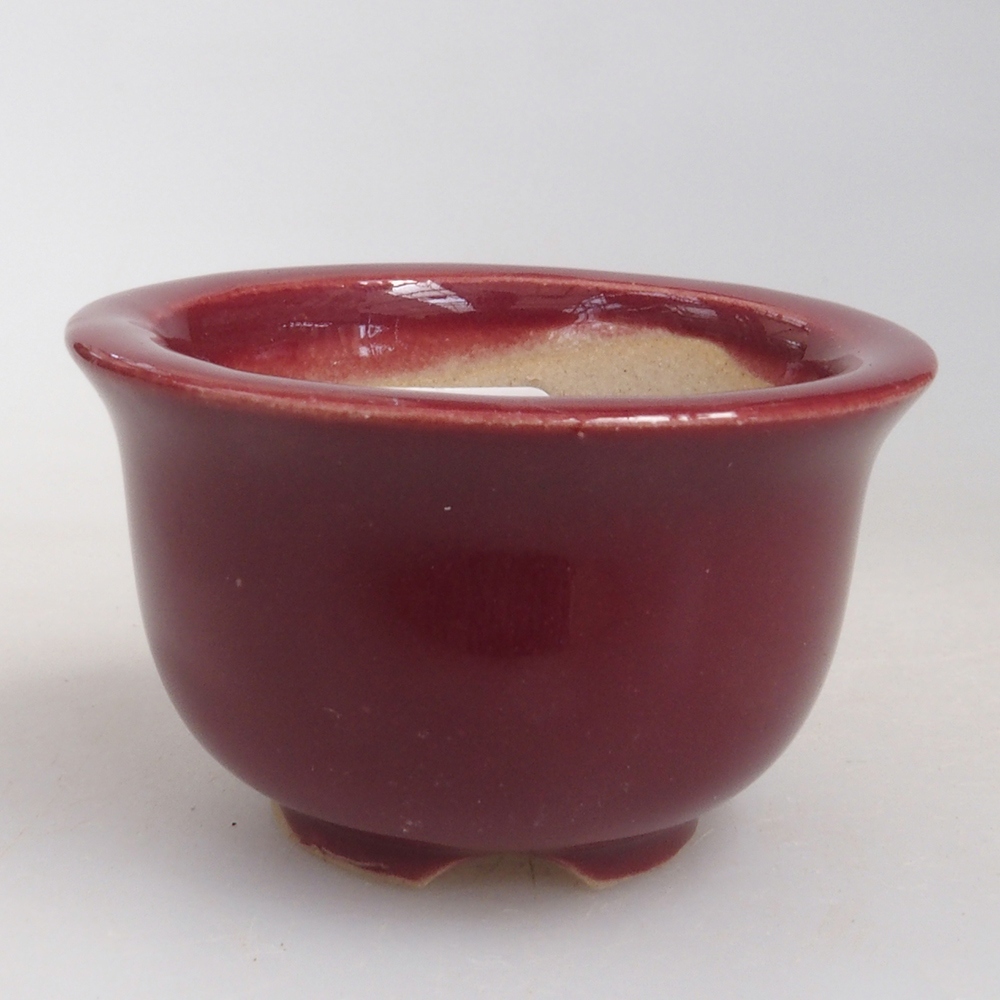Ciotola per mini bonsai 4,5 x 4,5 x 2,5 cm, bordeaux