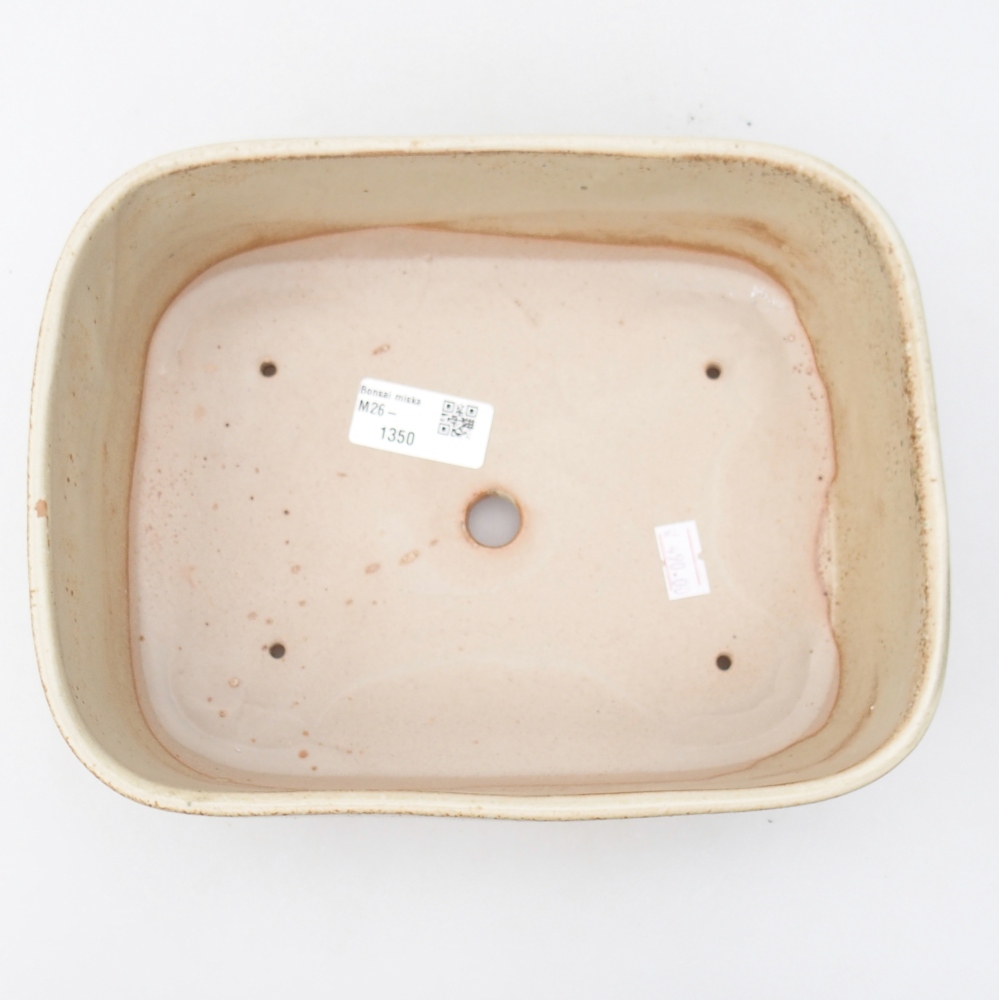 Ciotola bonsai in ceramica 23 x 18 x 7,5 cm, colore beige