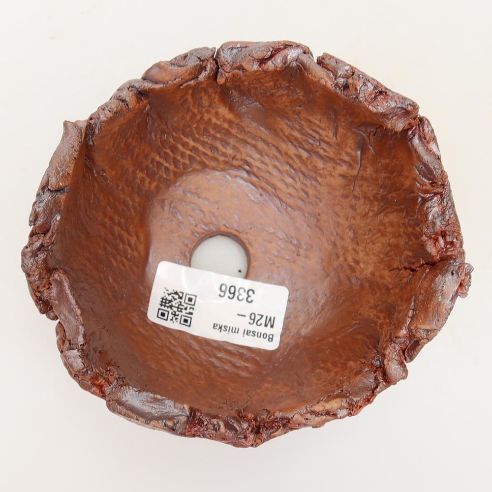 Conchiglia in ceramica 10 x 10 x 7 cm , colore marrone