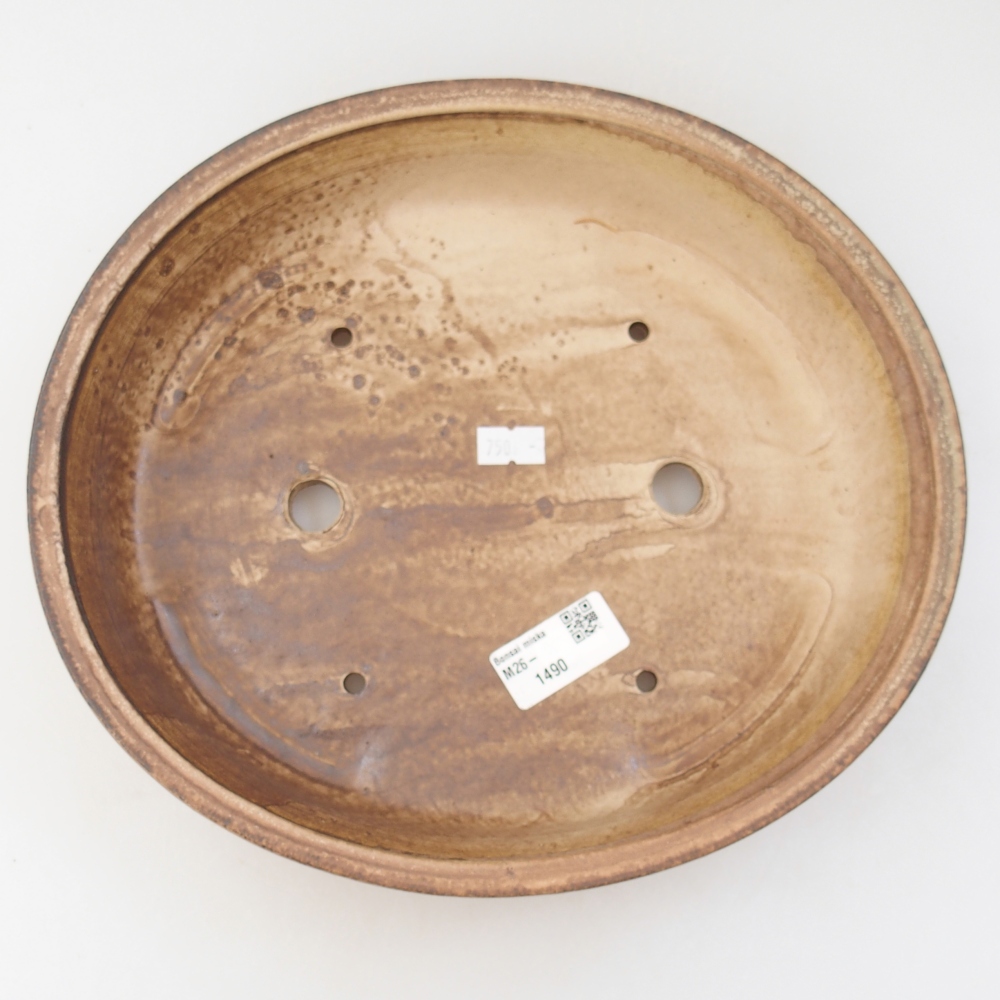 Ciotola bonsai in ceramica 26,5 x 23,5 x 5,5 cm, colore beige