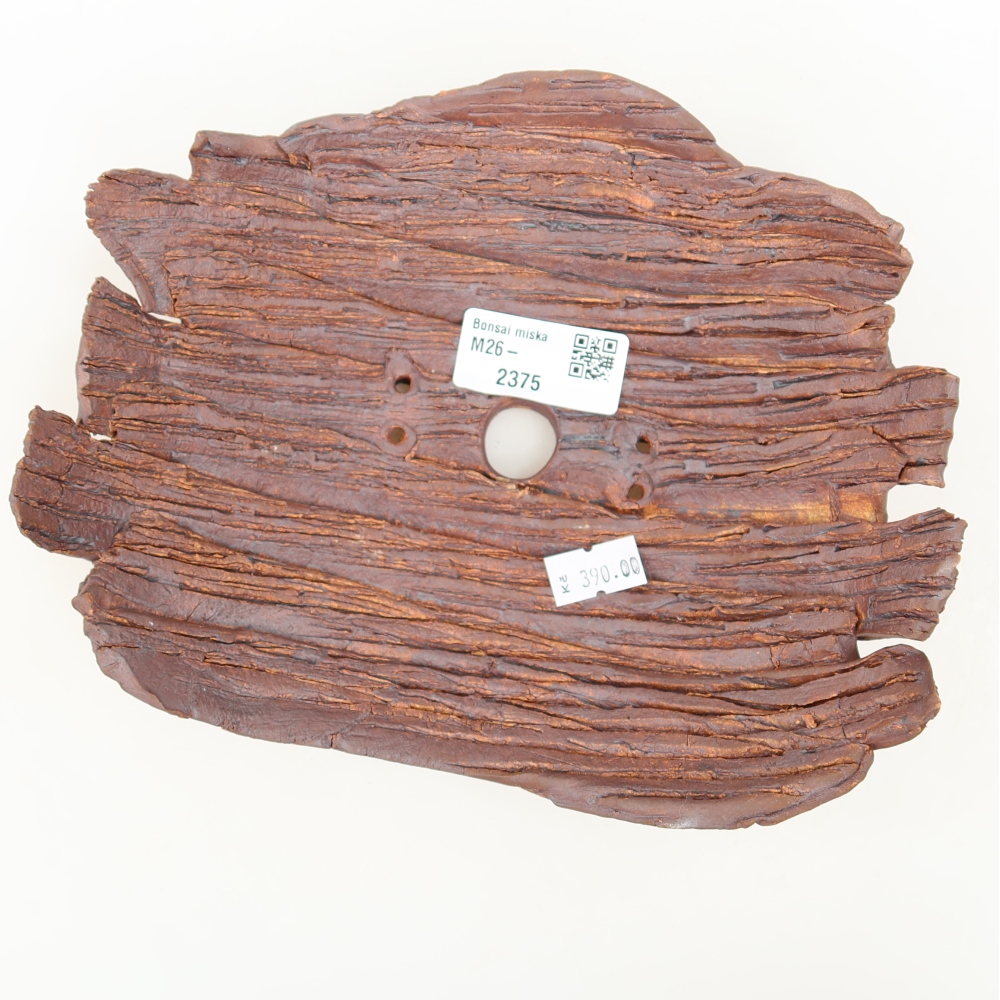 Conchiglia in ceramica  20 x 15,5 x 6 cm, colore marrone