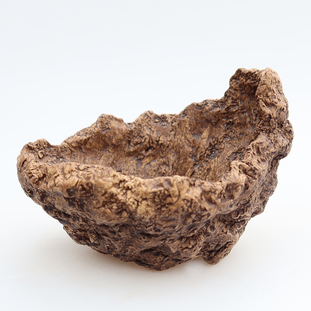 Guscio in ceramica 10 x 9 x 8 cm, colore marrone
