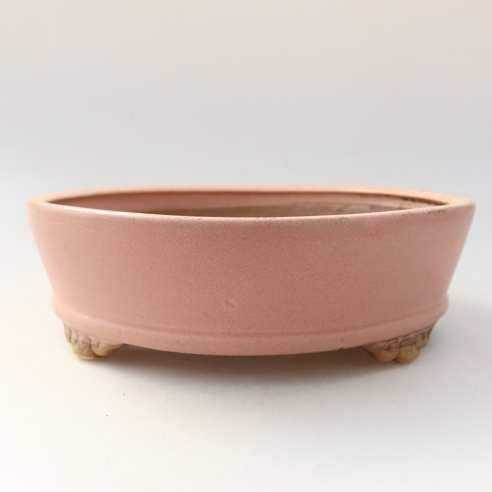 Ciotola bonsai in ceramica 18 x 18 x 5 cm, rosa