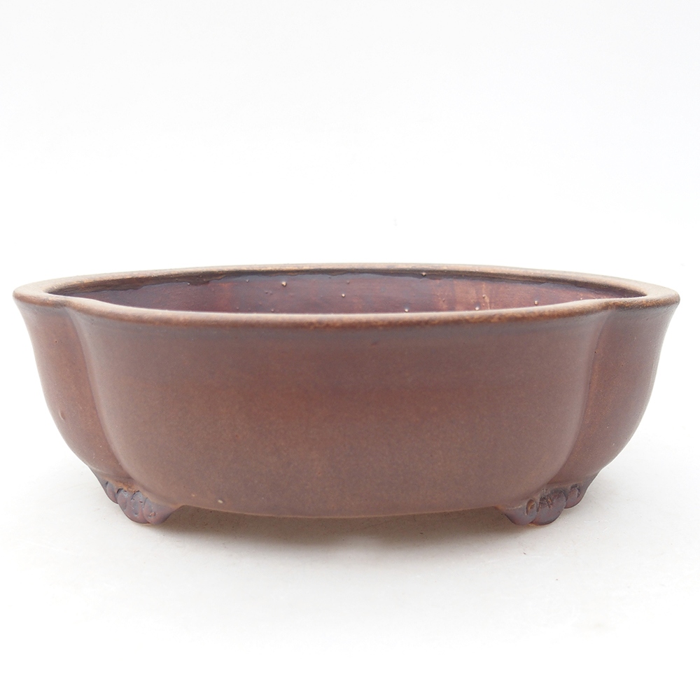 Ciotola bonsai in ceramica 17 x 15,5 x 5,5 cm, marrone