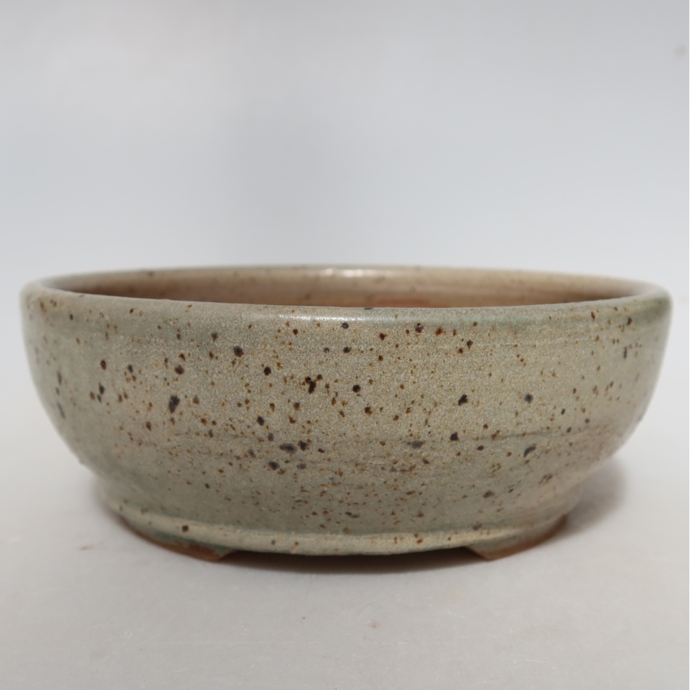 Ciotola bonsai in ceramica 14,5 x 14,5 x 5,5 cm, colore beige