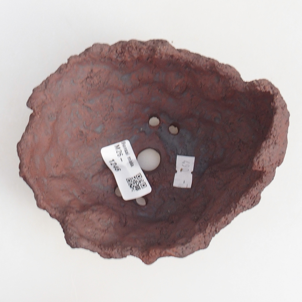 Conchiglia in ceramica 13 x 11 x 12 cm , colore marrone