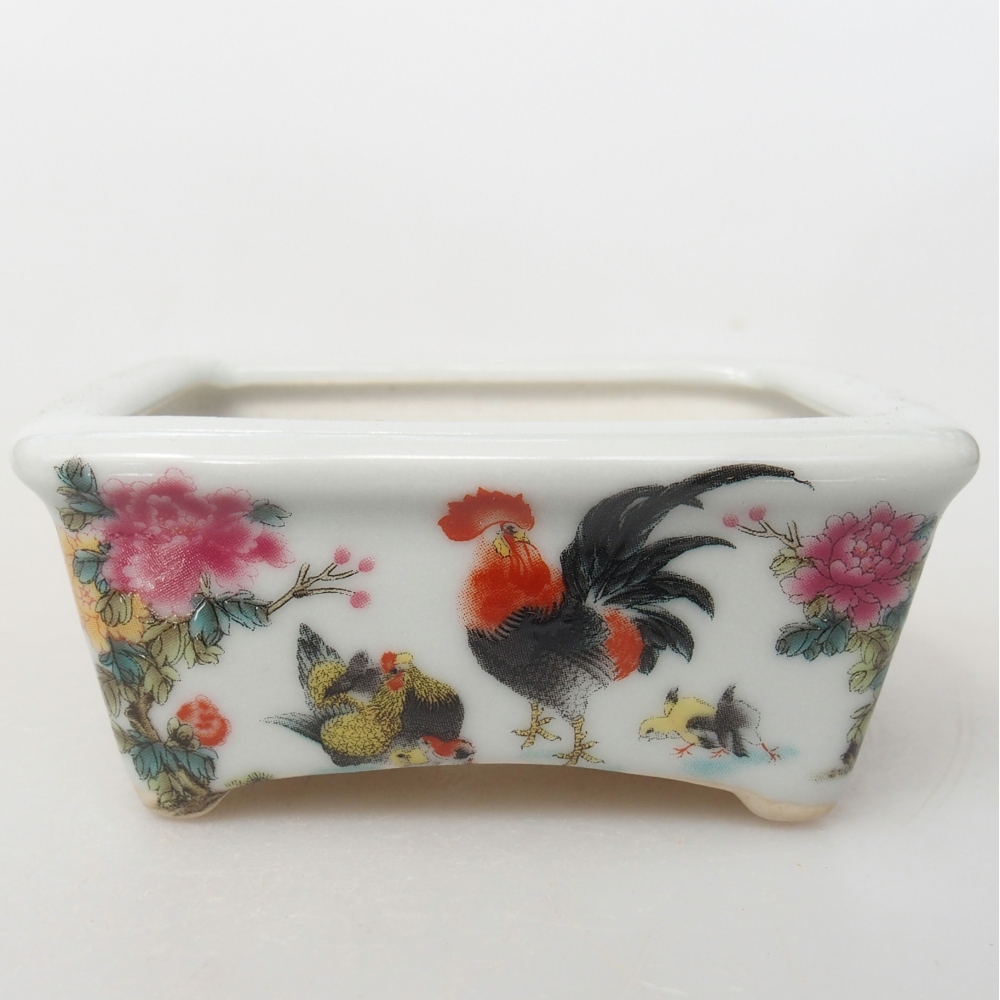 Mini bonsai 8 x 6,5 x 3,5 cm, bianco