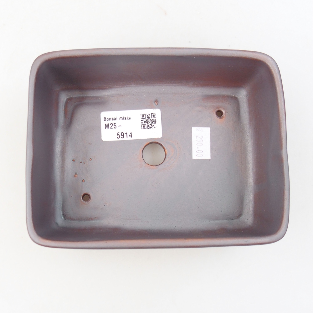 Ciotola bonsai in ceramica 22 x 17 x 5 cm, verde