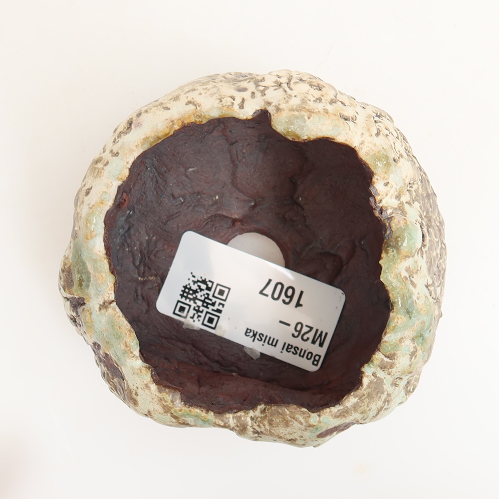 Conchiglia in ceramica  6 x 5 x 5 cm, colore verde