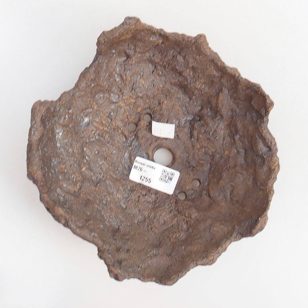 Conchiglia in ceramica 18 x 17 x 10 cm , colore marrone