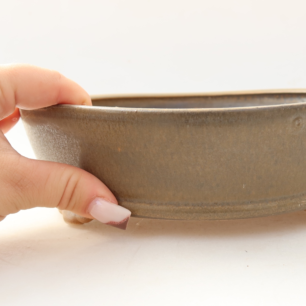 Ciotola per bonsai in ceramica 21,5 x 21,5 x 6 cm, marrone