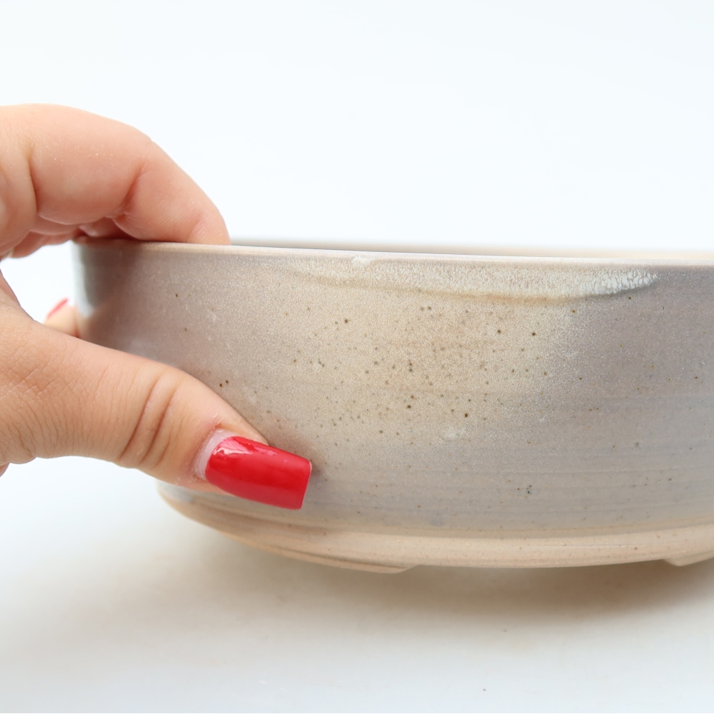Ciotola bonsai in ceramica 19,5 x 19,5 x 6,5 cm, colore beige