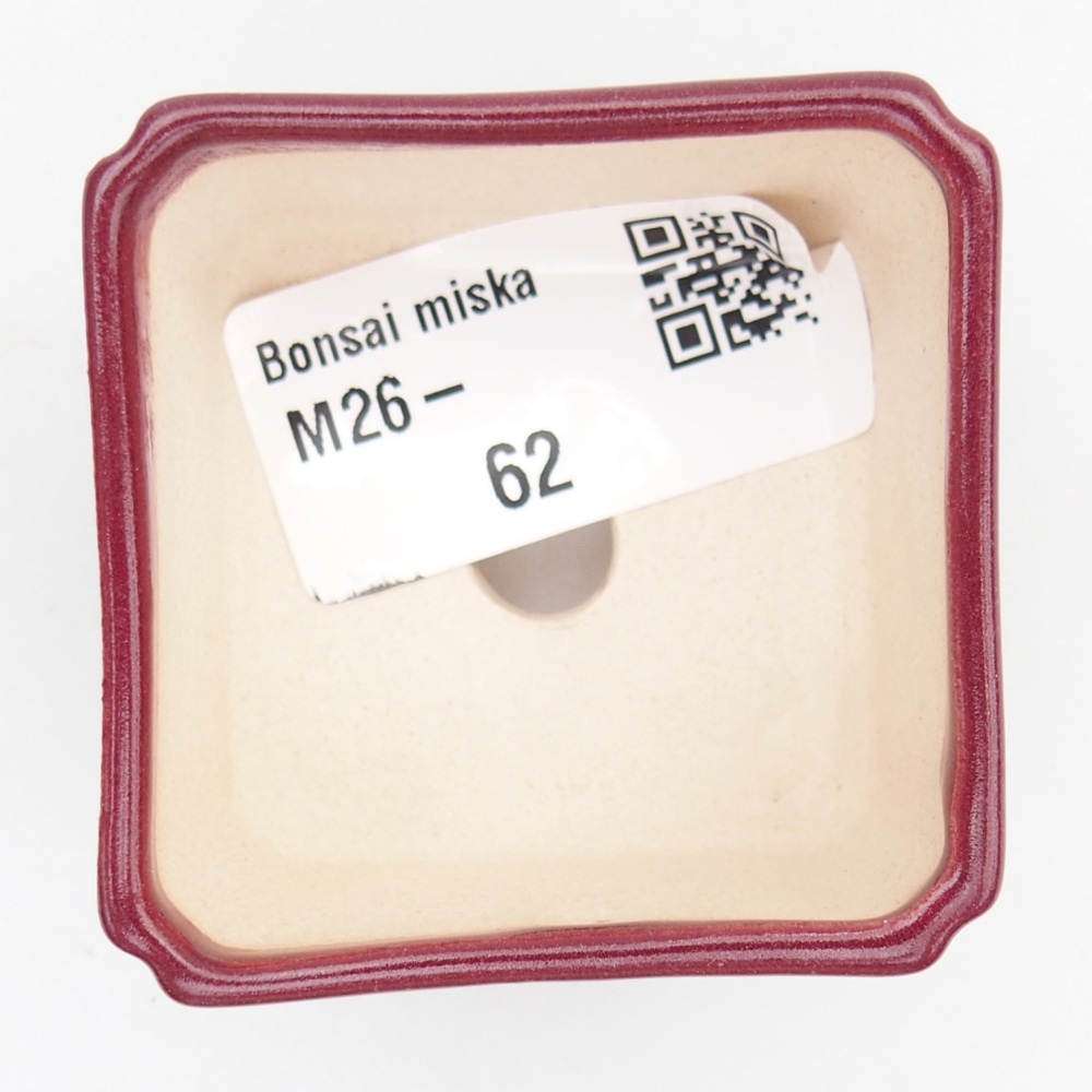 Ciotola per mini bonsai 5 x 5 x 3 cm, bordeaux