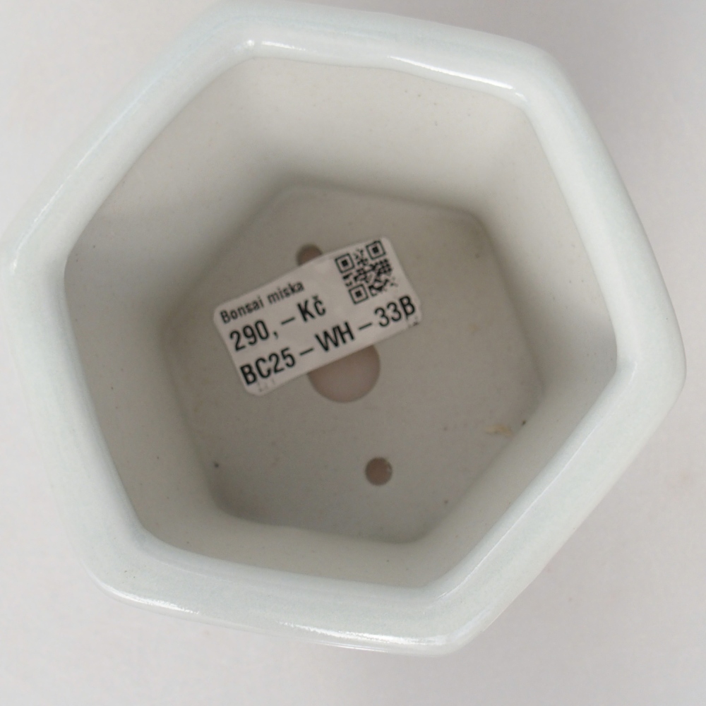 Ciotola per bonsai in ceramica 10,5 x 9,5 x 9 cm, colore bianco