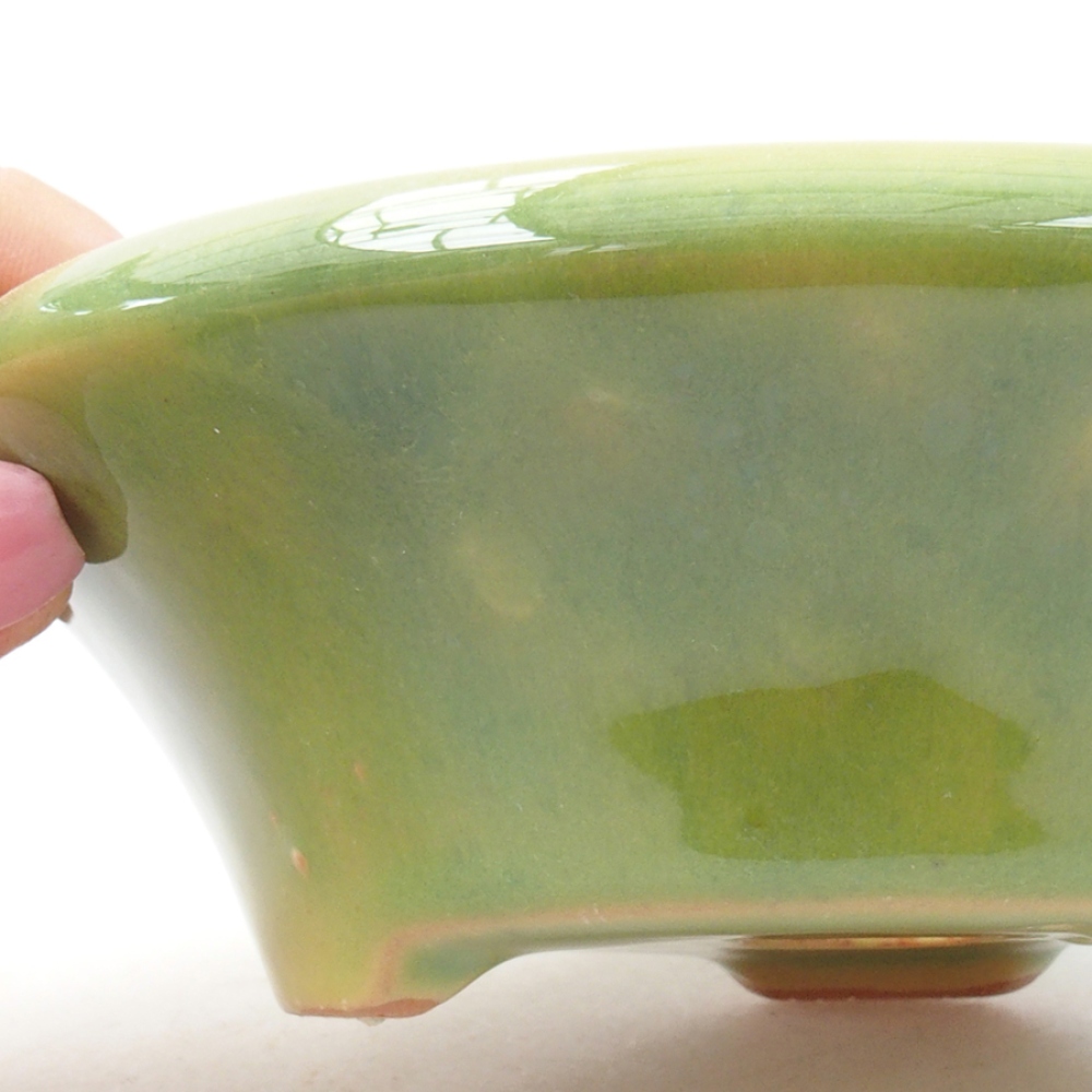 Ciotola bonsai in ceramica 13,5 x 13,5 x 5 cm, verde