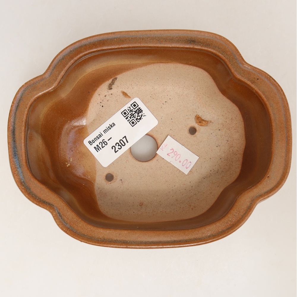 Ciotola per bonsai in ceramica 13,5 x 10,5 x 5 cm, marrone