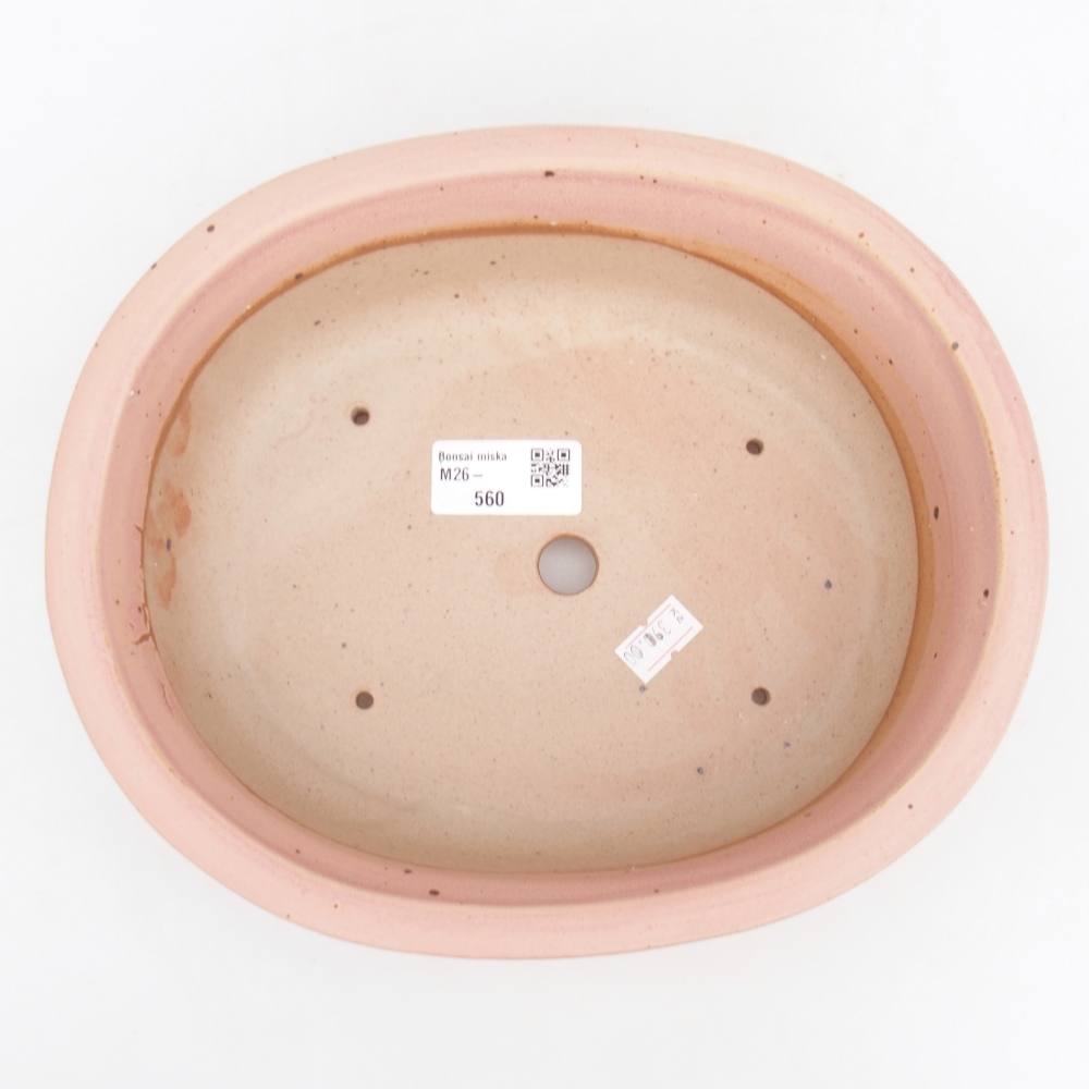Ciotola bonsai in ceramica 23 x 19 x 7 cm, rosa