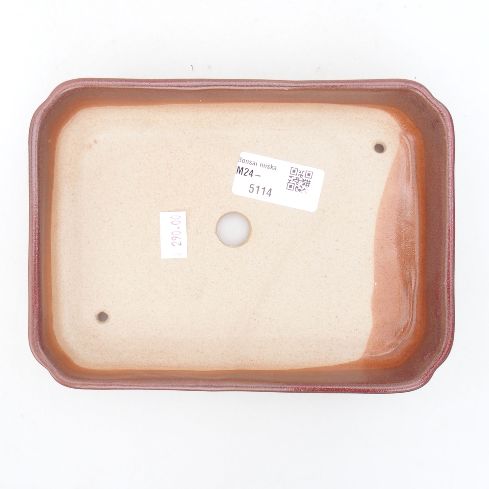 Ciotola bonsai in ceramica 18 x 13 x 3 cm, bordeaux