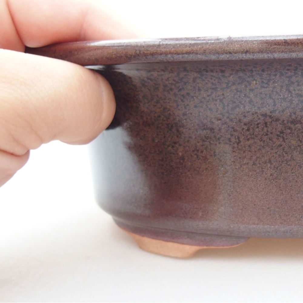 Ciotola bonsai in ceramica 22 x 17 x 5 cm, verde