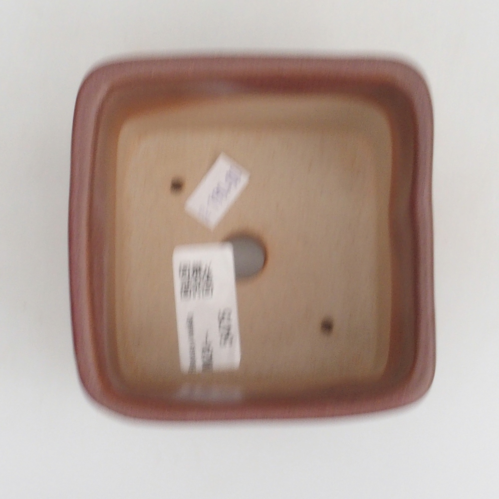 Ciotola per bonsai in ceramica 10 x 10 x 8 cm, marrone