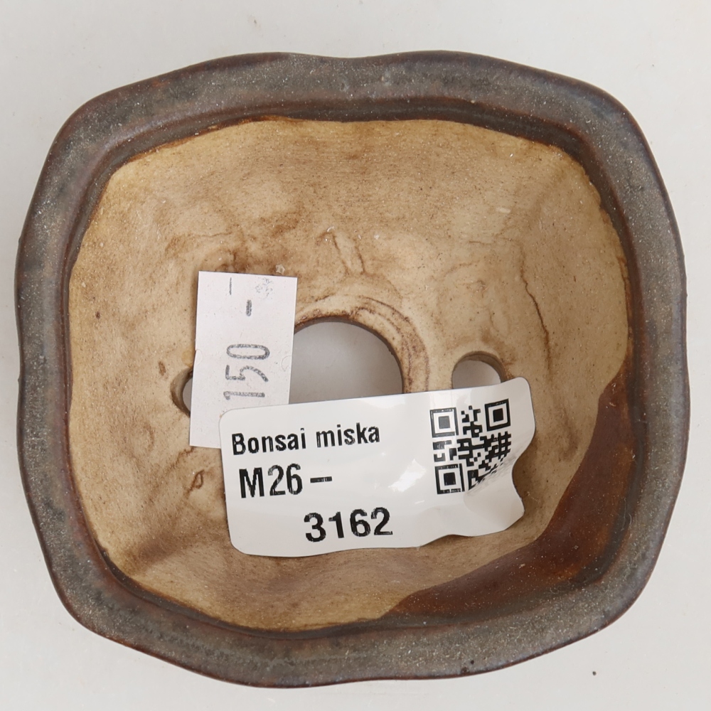 Ciotola per bonsai in ceramica 7 x 7 x 3,5 cm, marrone