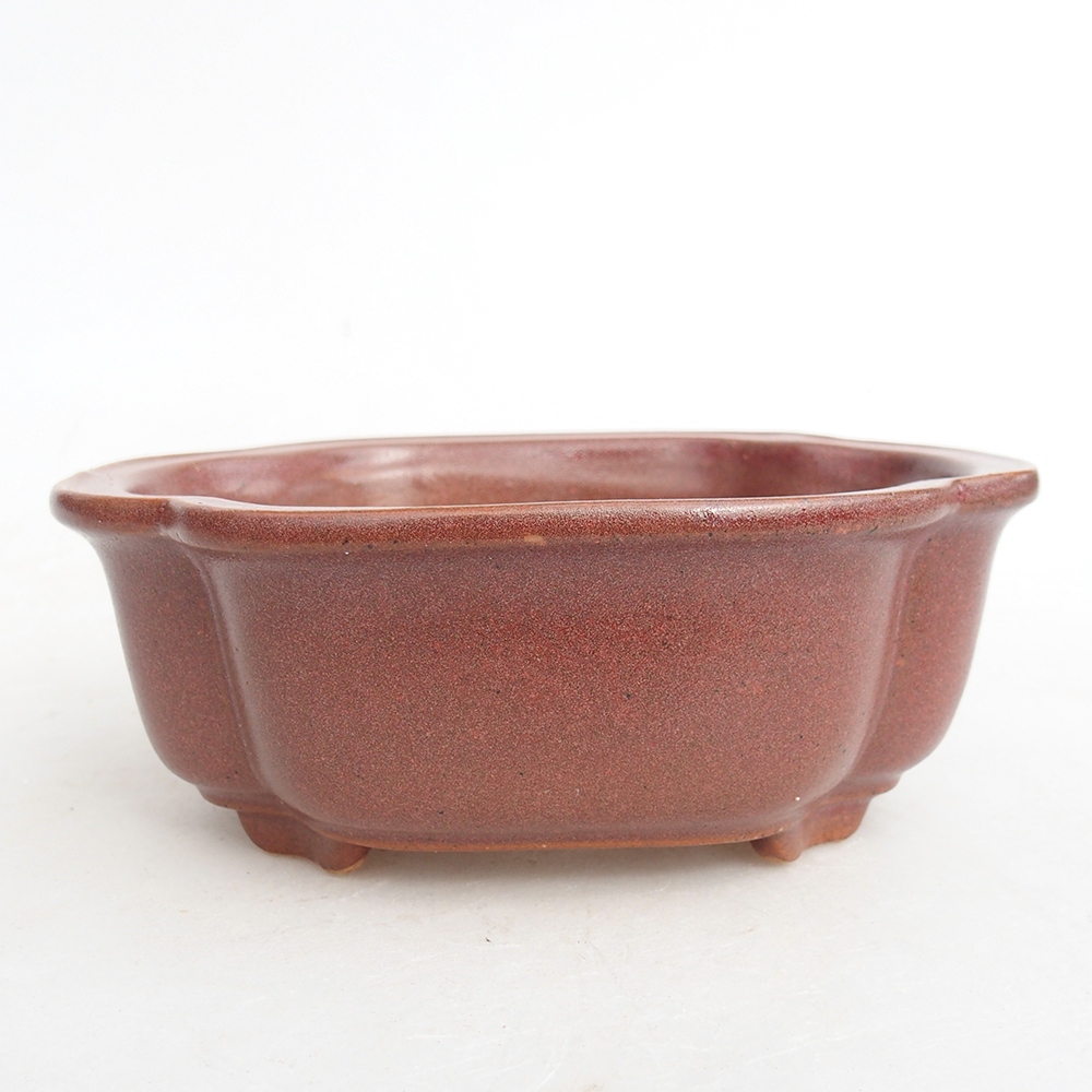 Ciotola bonsai in ceramica 13 x 10,5 x 5,5 cm, bordeaux