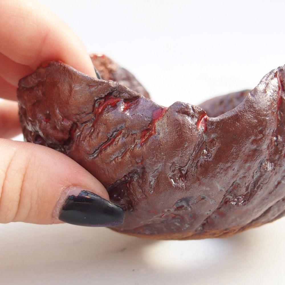 Conchiglia in ceramica 10 x 9,5 x 6 cm , colore marrone