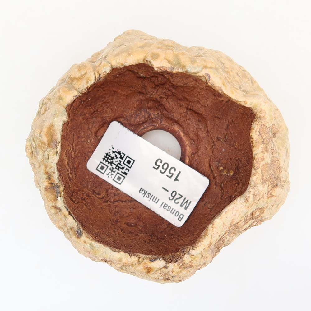 Guscio in ceramica  5,5 x 5,5 x 5 cm , colore marrone