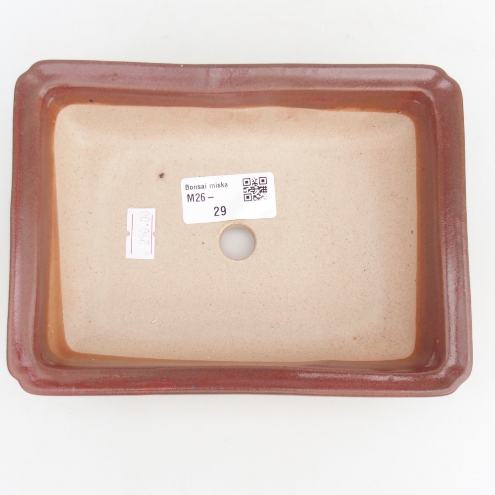 Ciotola bonsai in ceramica 18 x 13,5 x 4,5 cm, bordeaux