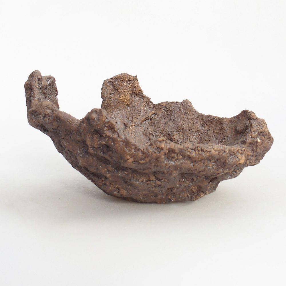 Conchiglia in ceramica 18 x 17 x 10 cm , colore marrone