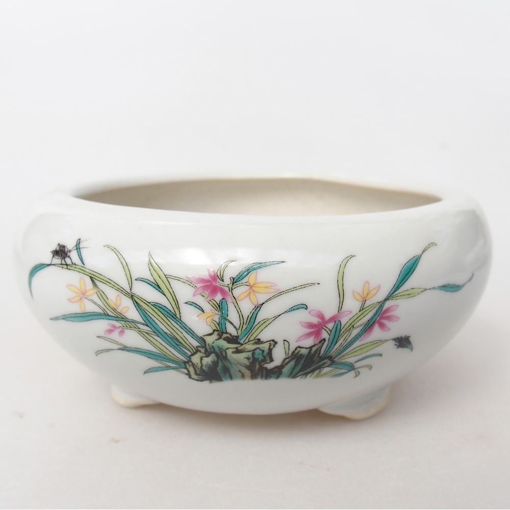 Ciotola per bonsai in ceramica 10 x 10 x 5 cm, colore bianco