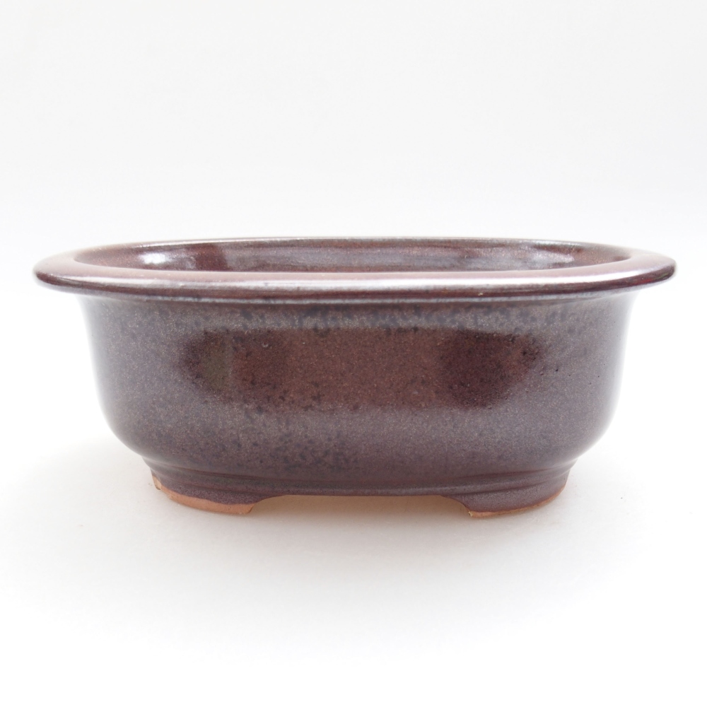 Ciotola bonsai in ceramica 22 x 17 x 5 cm, verde