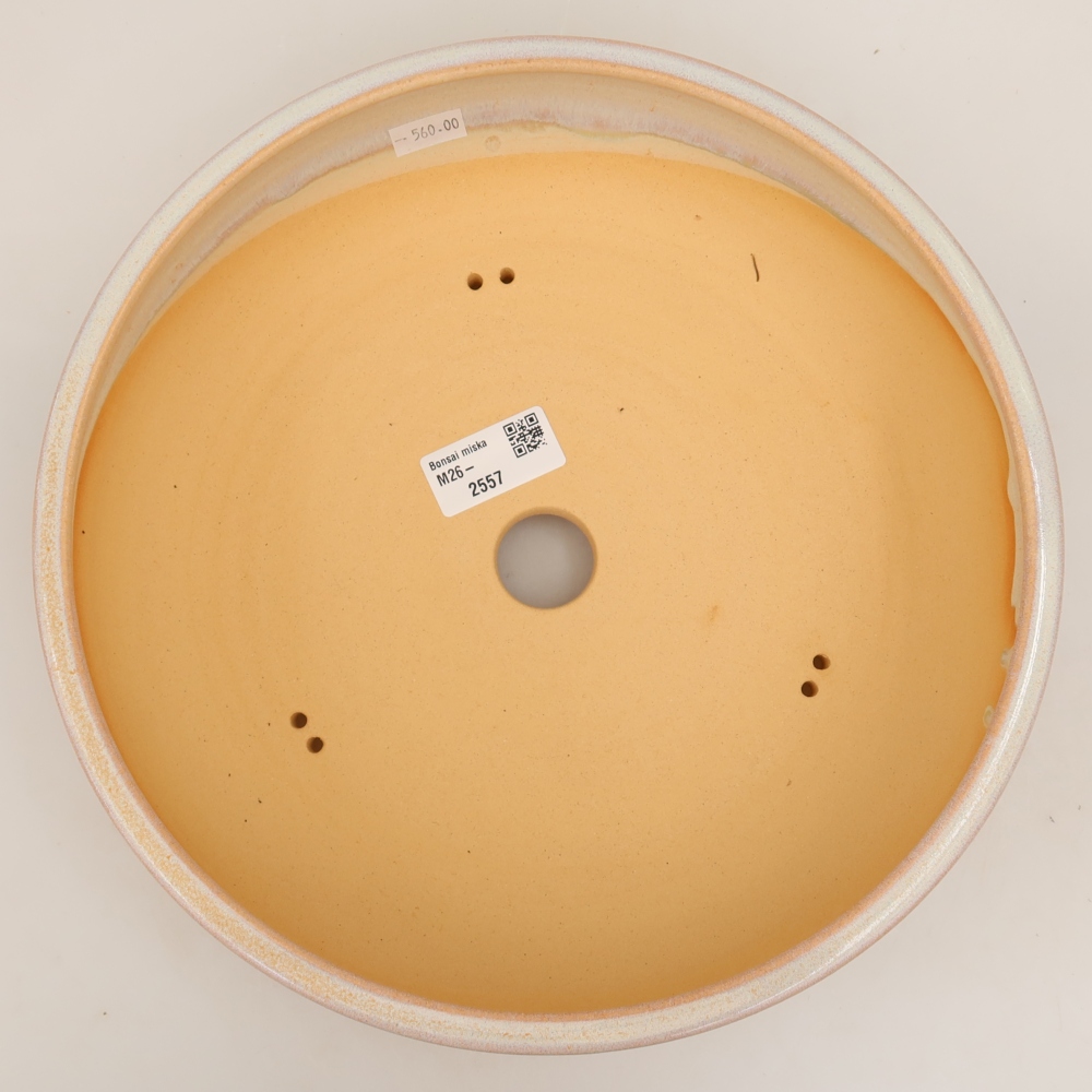 Vaso in ceramica per bonsai 27 x 27 x 6,5 cm, colore beige