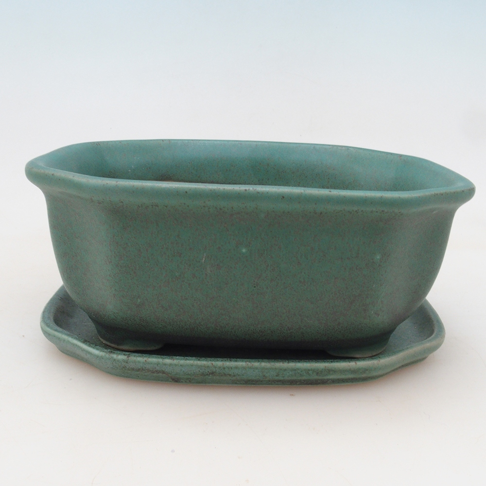 Ciotola bonsai + piattino H31 - verde