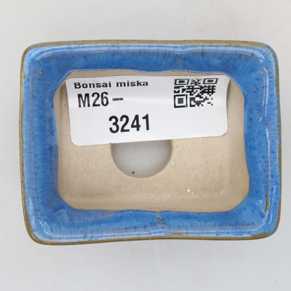 Ciotola per bonsai in ceramica 6 x 4,5 x 2,5 cm, colore blu