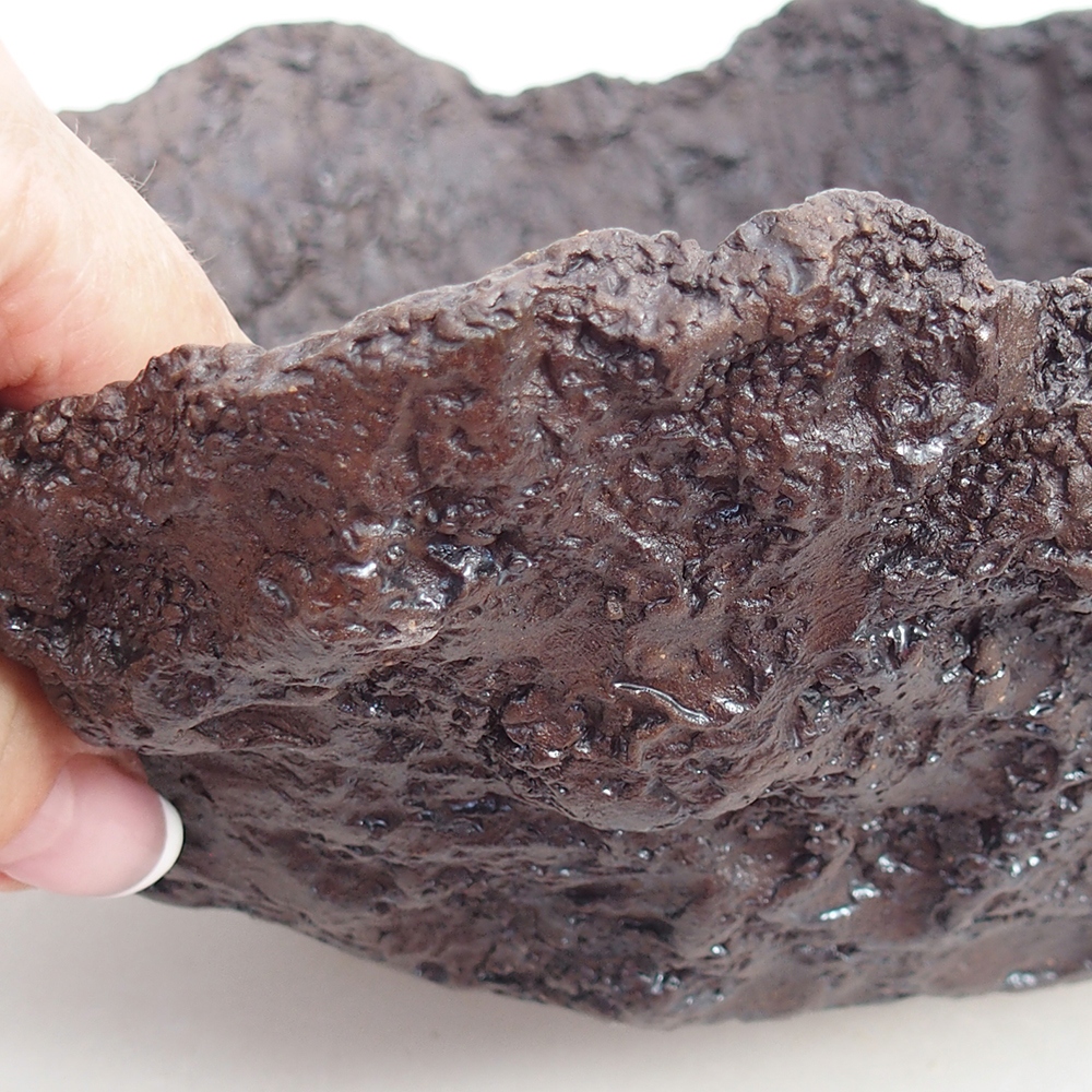 Conchiglia in ceramica 23 x 20 x 18 cm , colore marrone