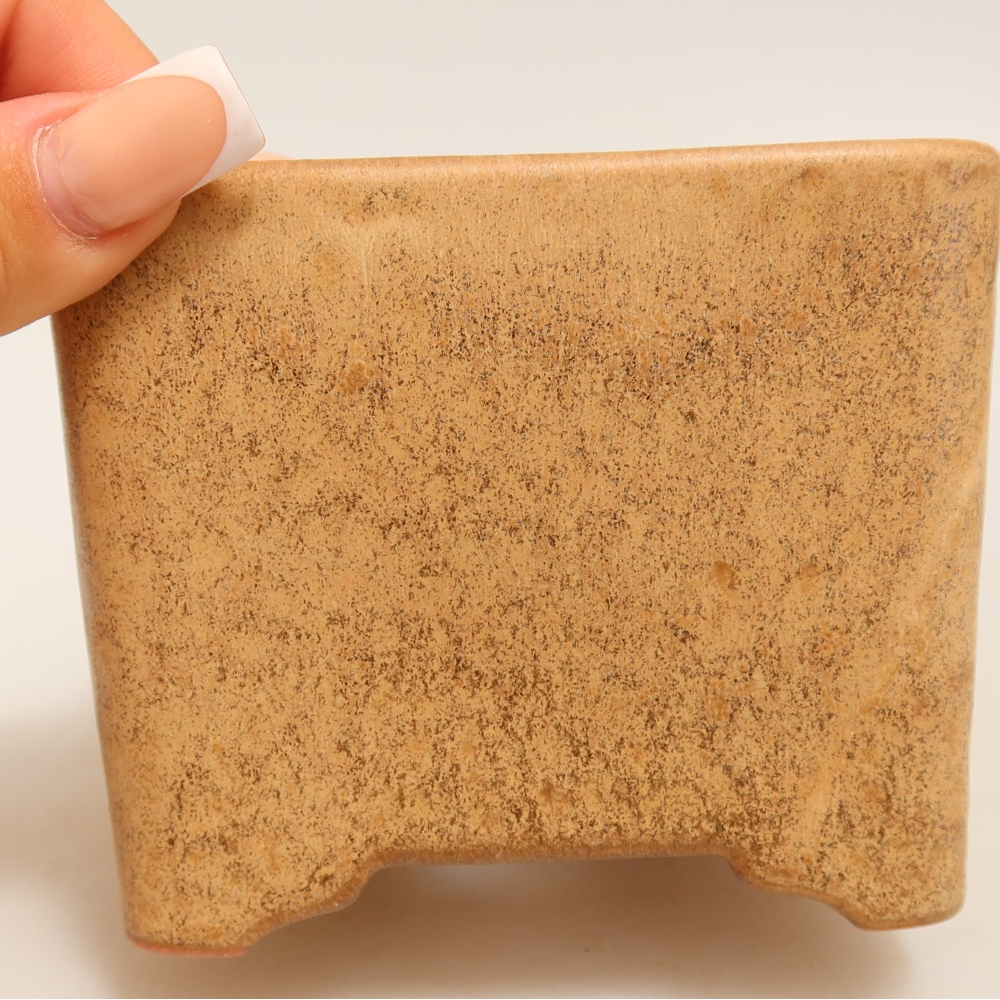 Vaso da bonsai in ceramica 10 x 10 x 8,5 cm, colore beige