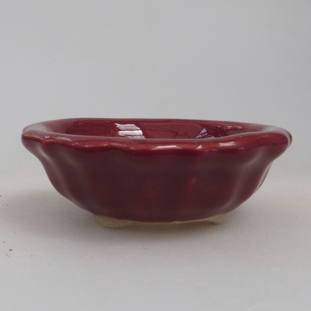 Mini bonsai 5 x 5 x 1,5 cm, colore bordeaux